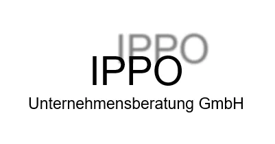ippo ippo Unternehmensberatung